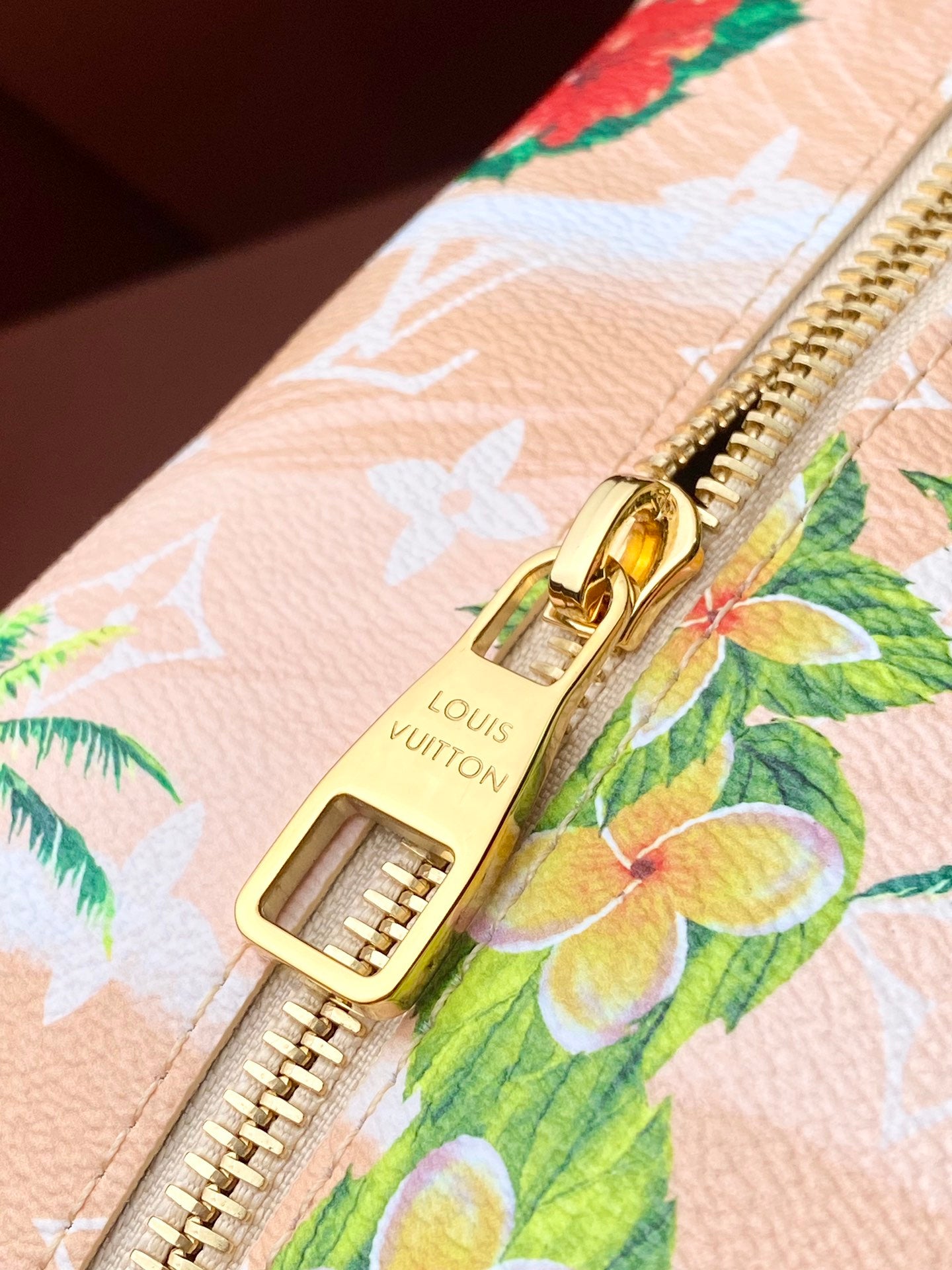 Louis Vuitton Handbag