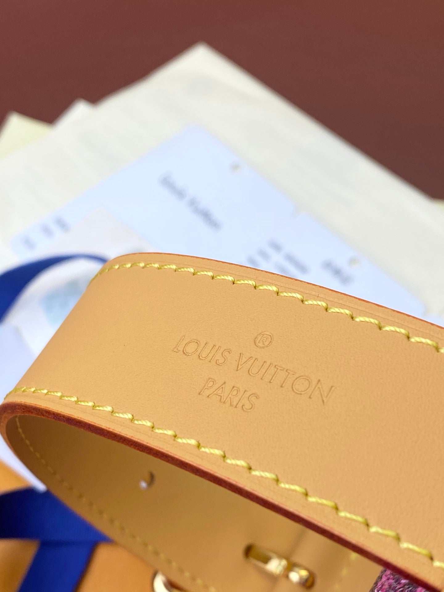 Louis Vuitton Handbag