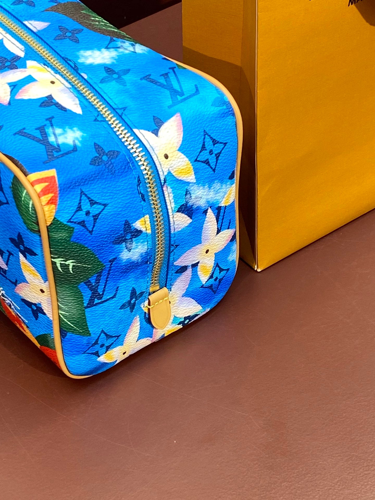Louis Vuitton Handbag