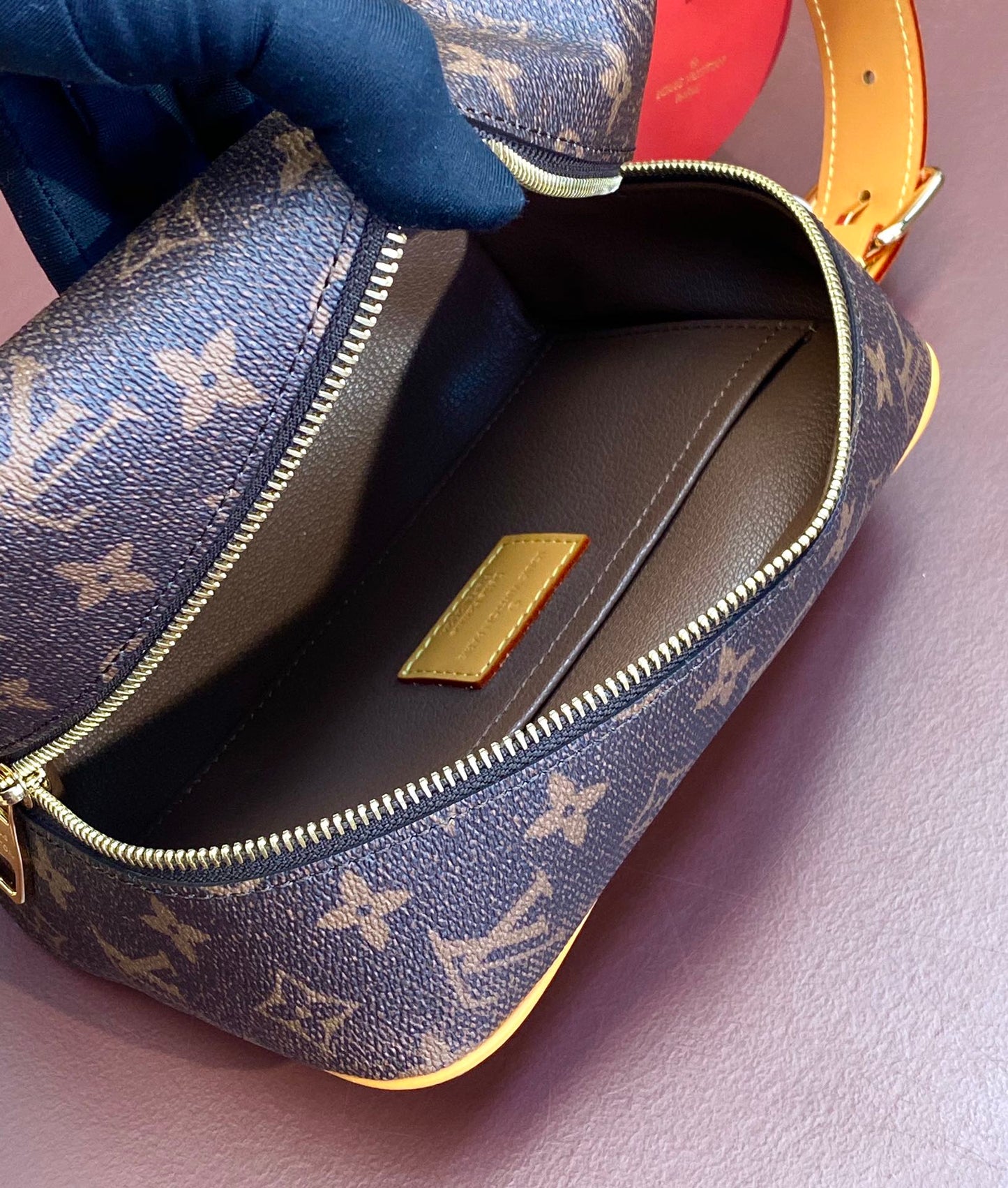 Louis Vuitton Handbag