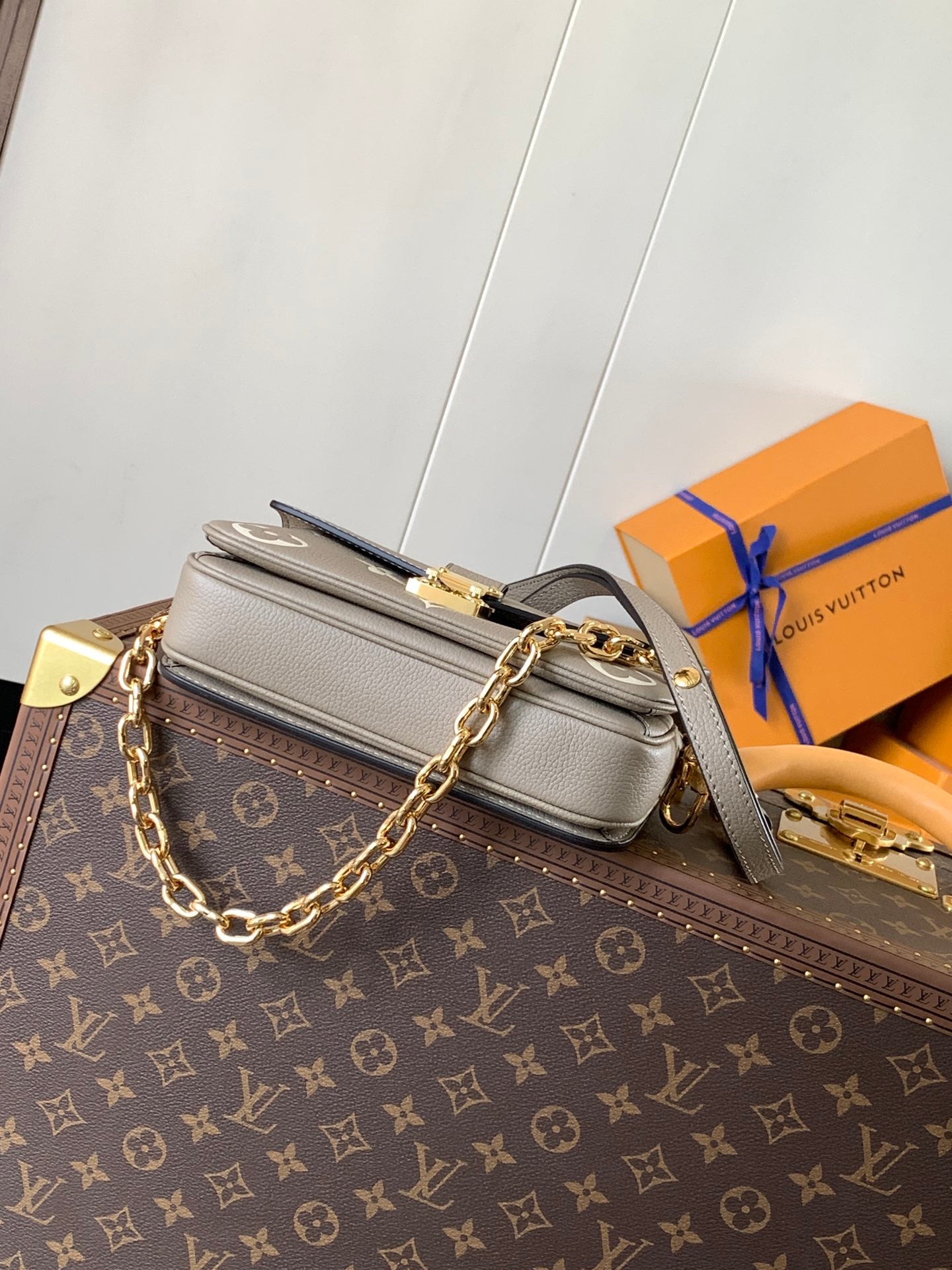 Louis Vuitton Handbag