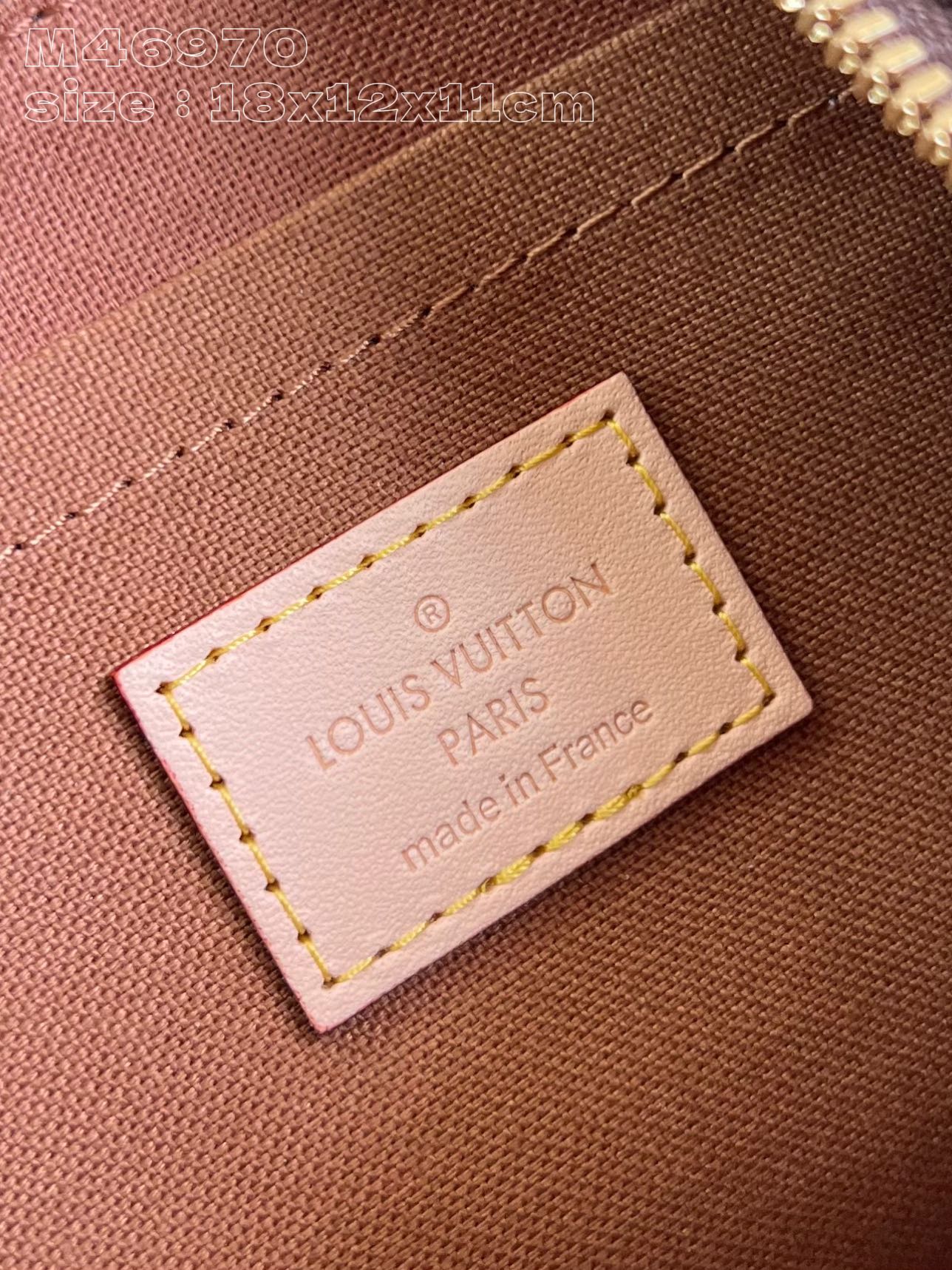 Louis Vuitton Handbag