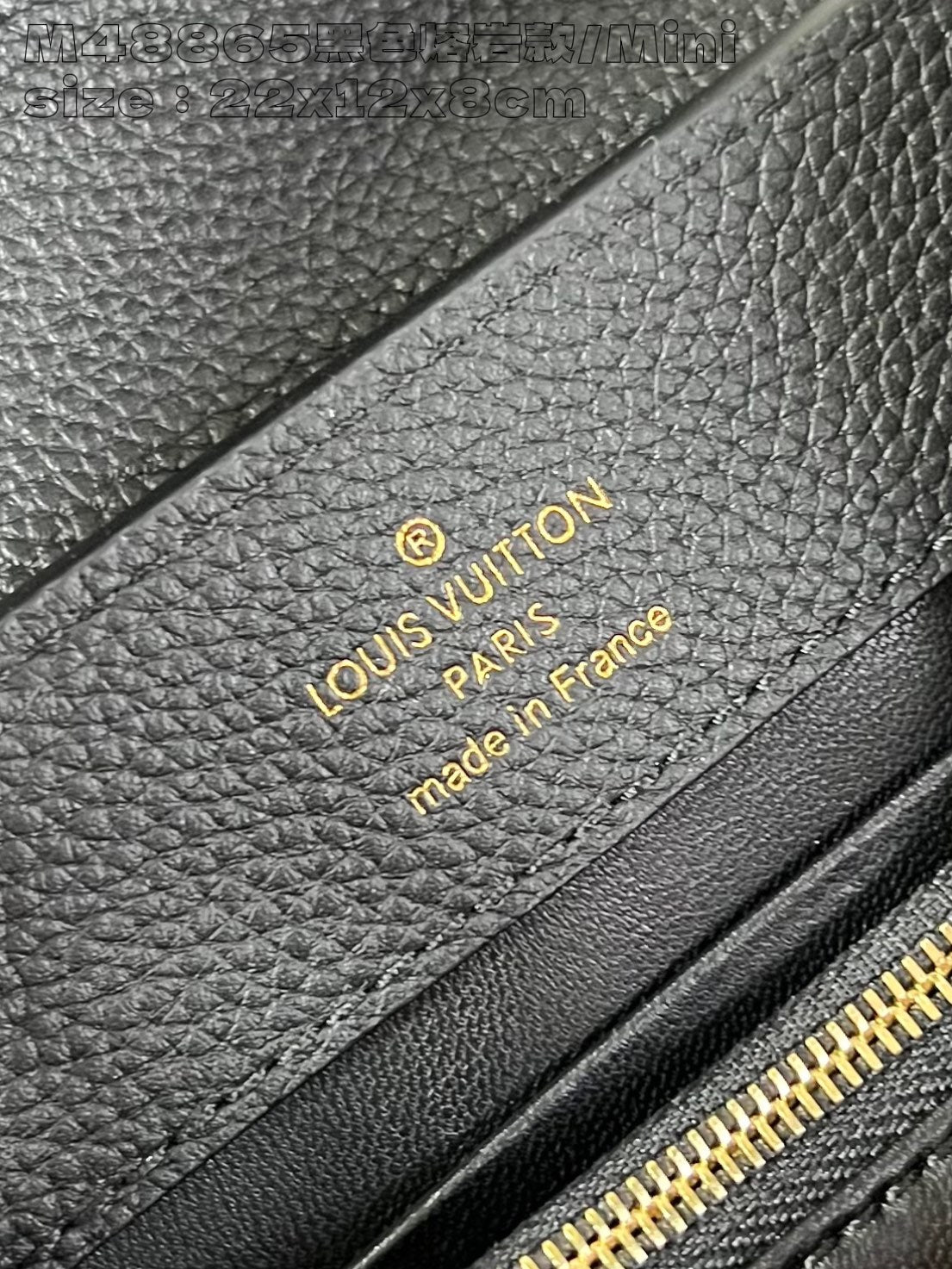 Louis Vuitton Handbag