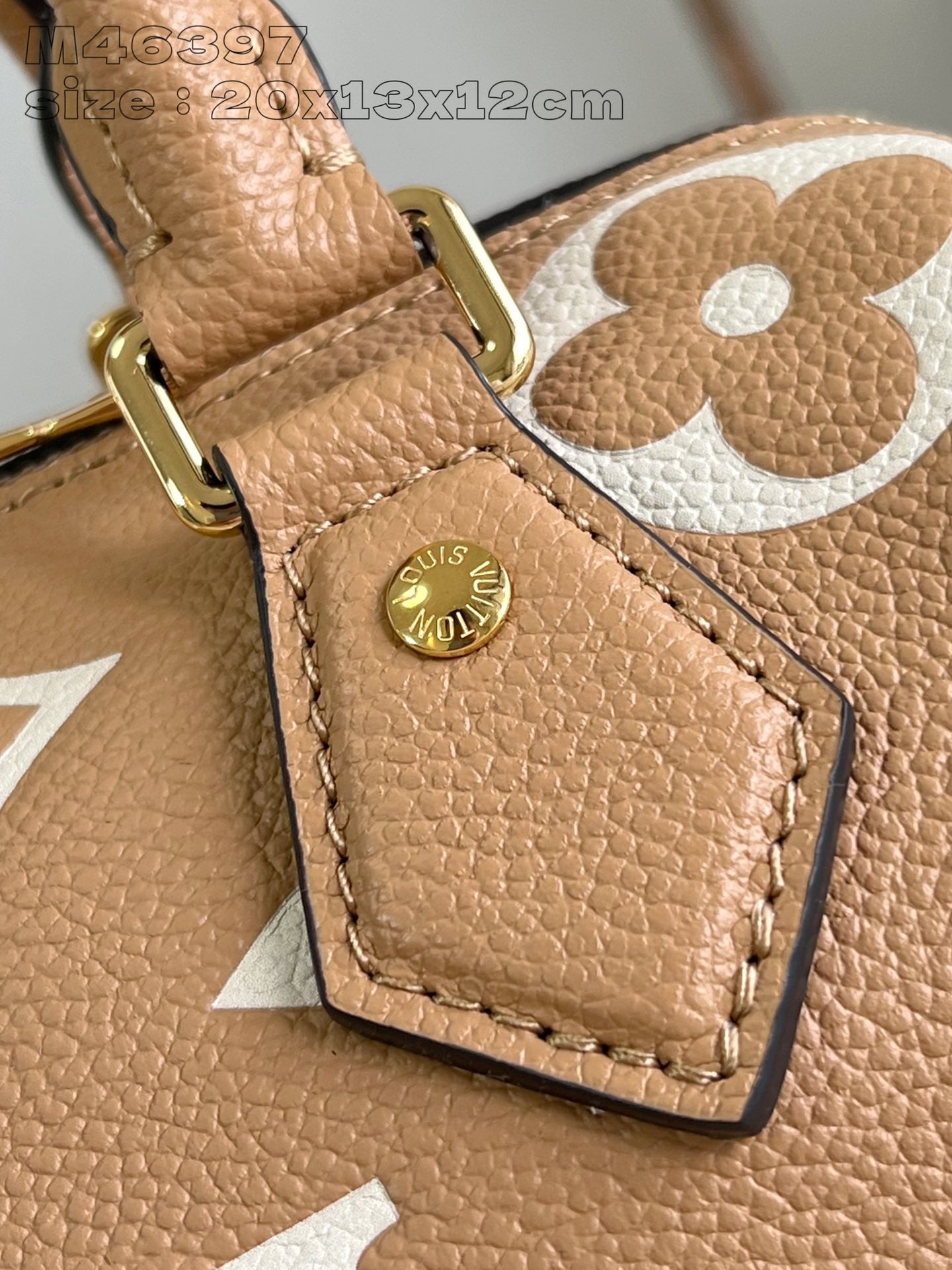 Louis Vuitton Handbag