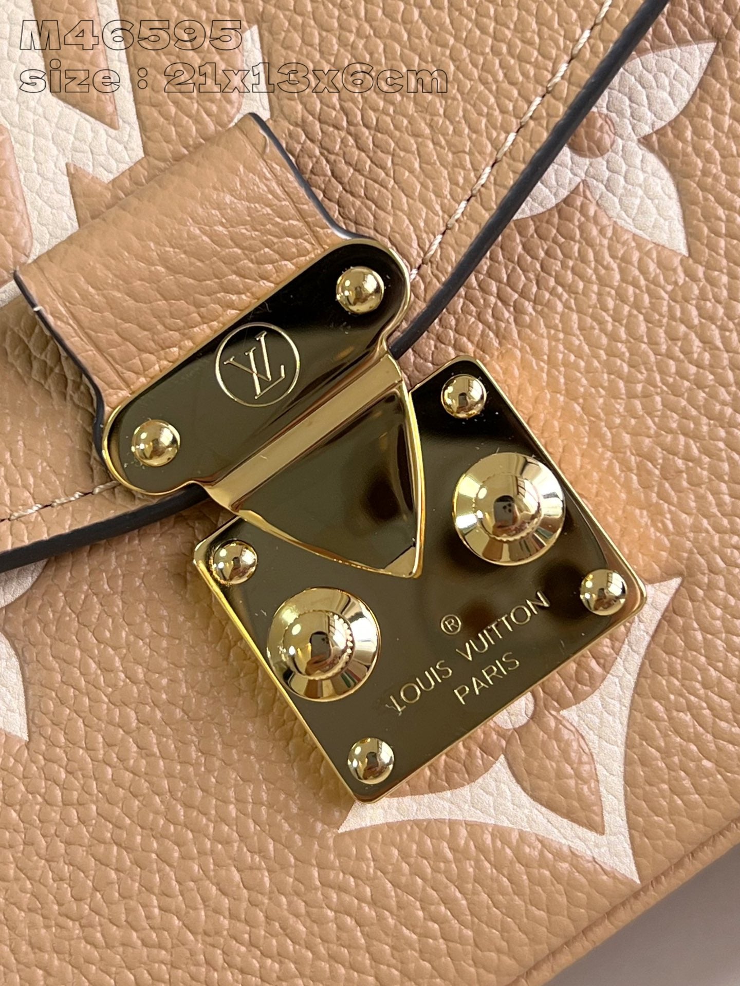 Louis Vuitton Handbag