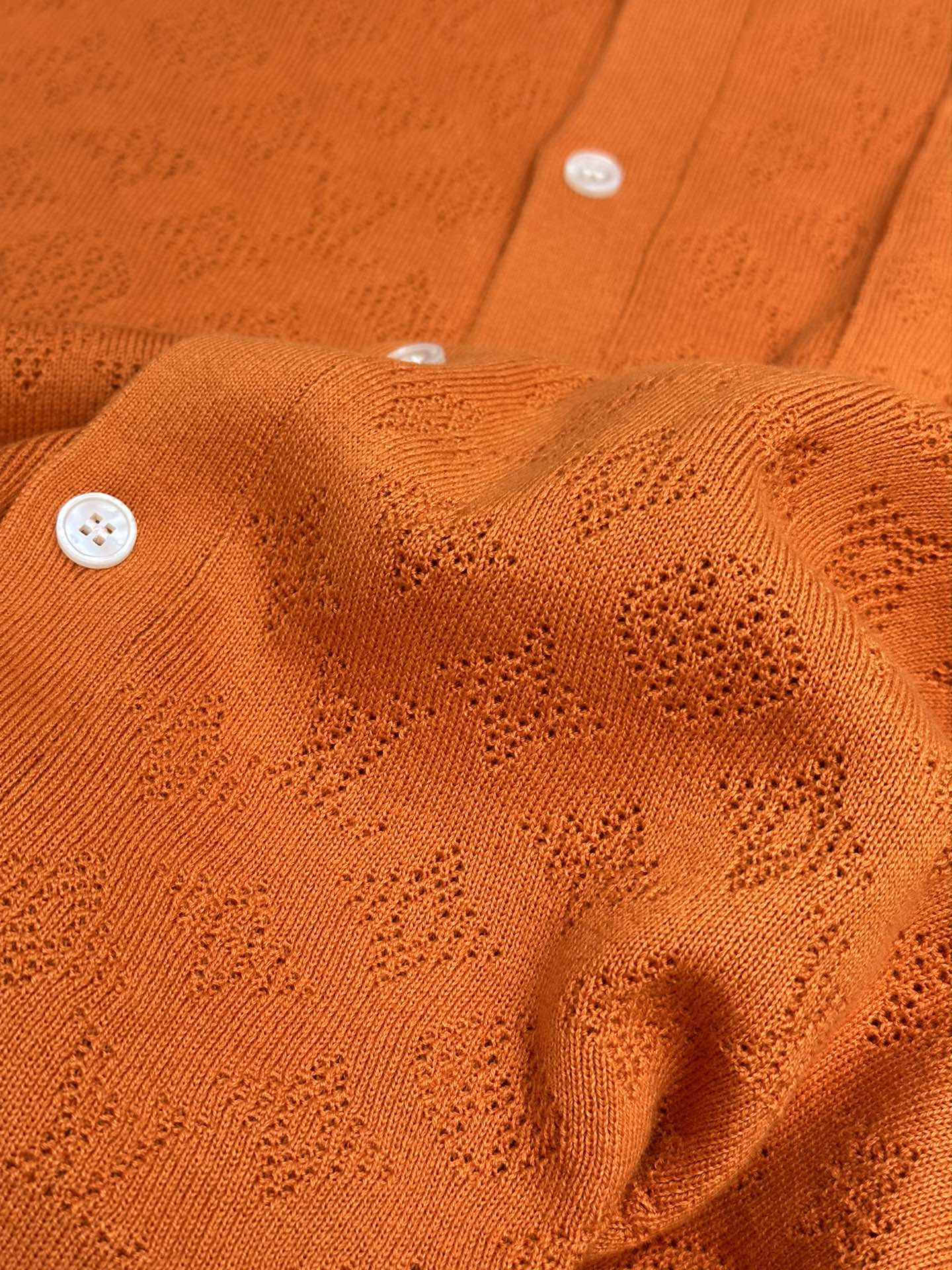 Louis Vuitton Polo Shirt