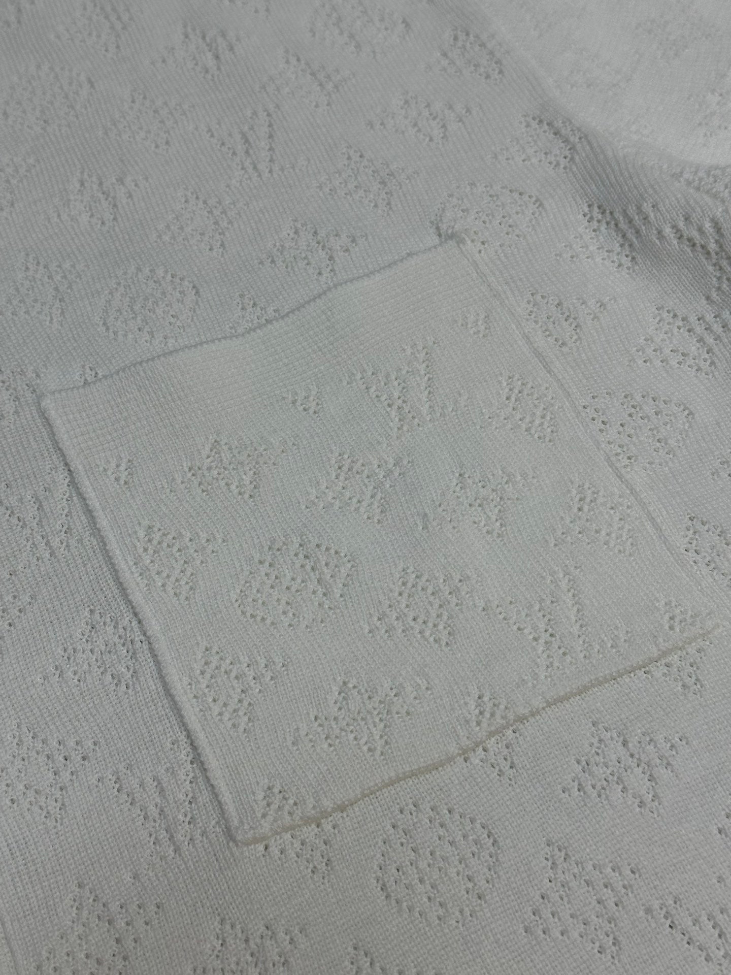 Louis Vuitton Polo Shirt
