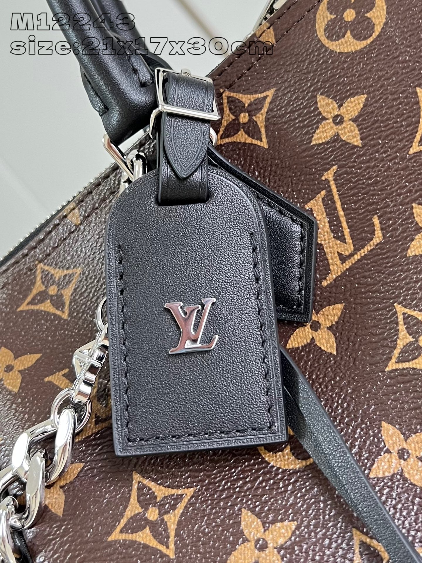 Louis Vuitton Handbag