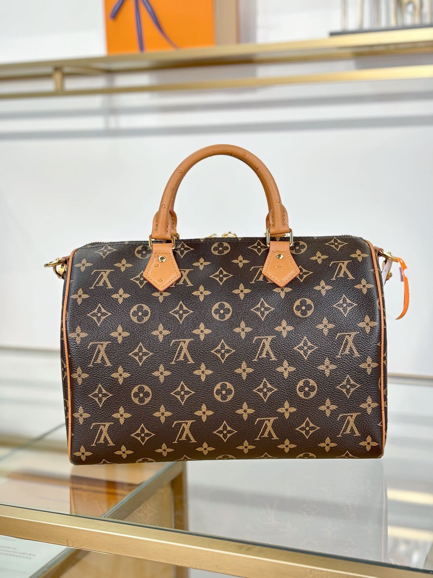 Louis Vuitton Handbag