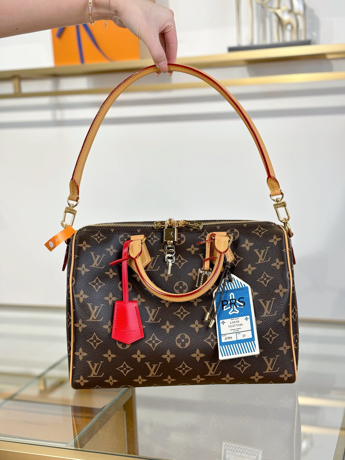 Louis Vuitton Handbag