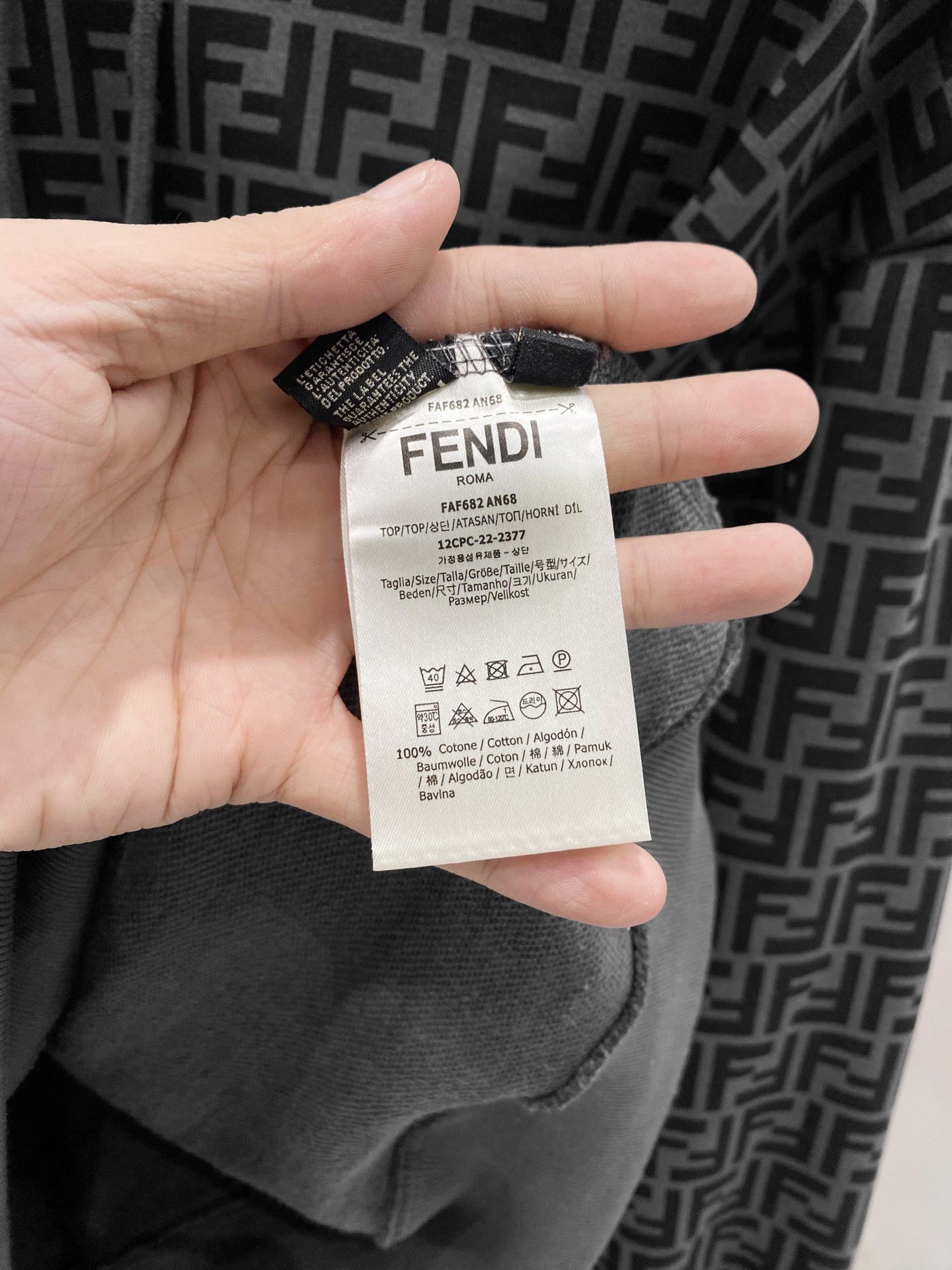 Fendi Hoodie