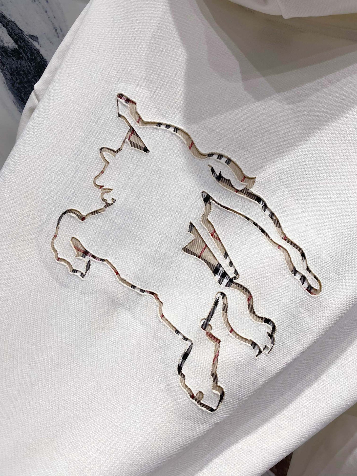 Burberry Hoodie