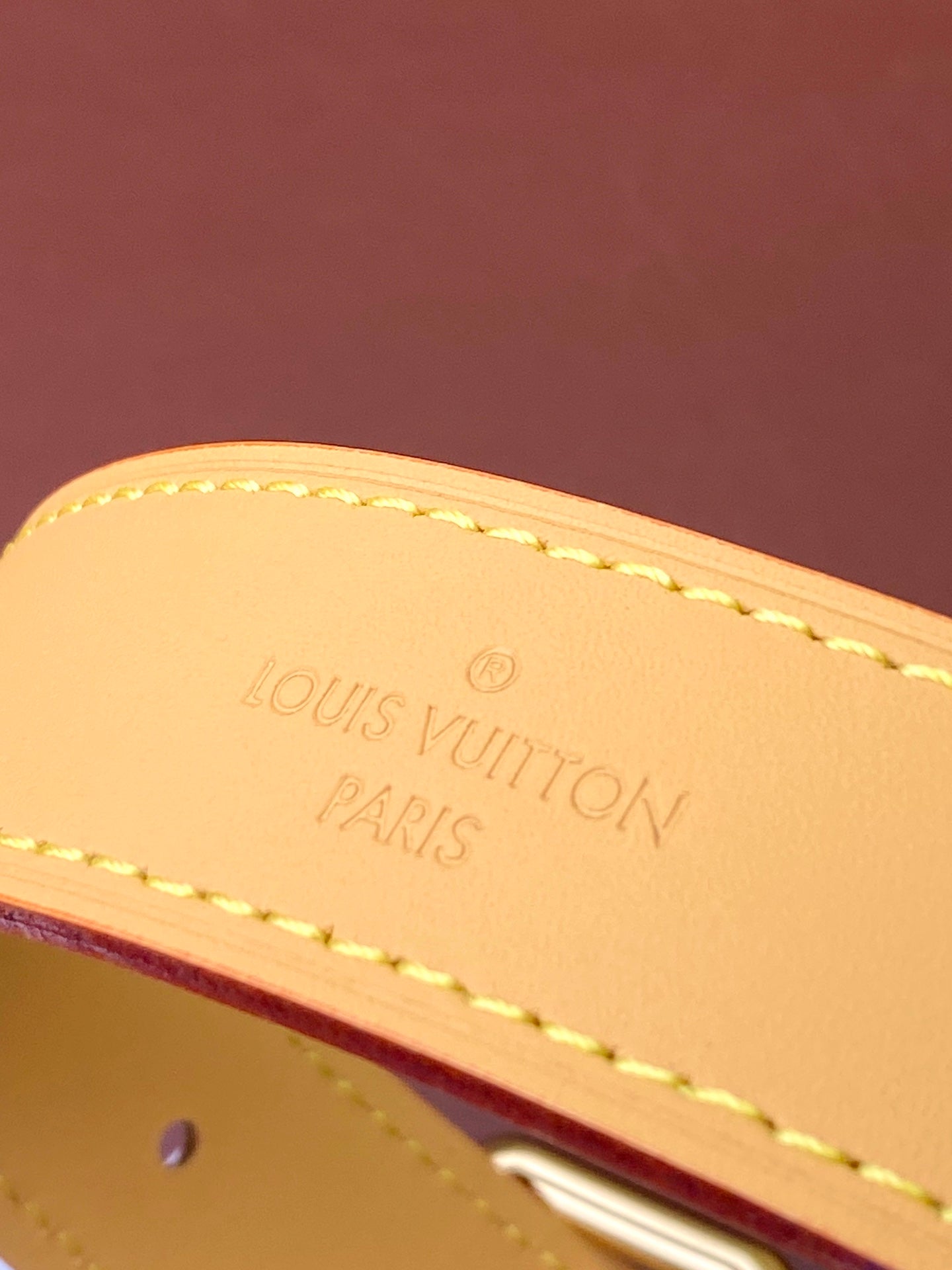 Louis Vuitton Handbag