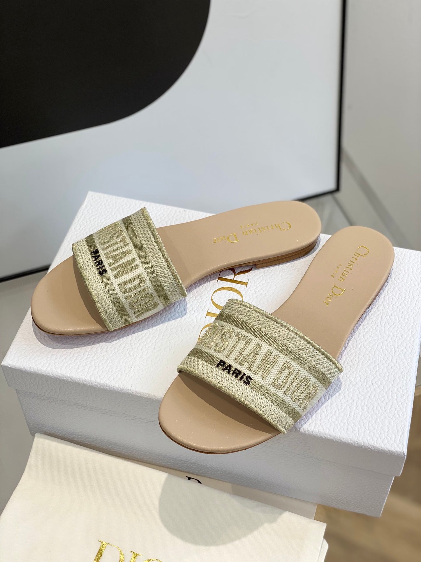 Dior Dway Slides