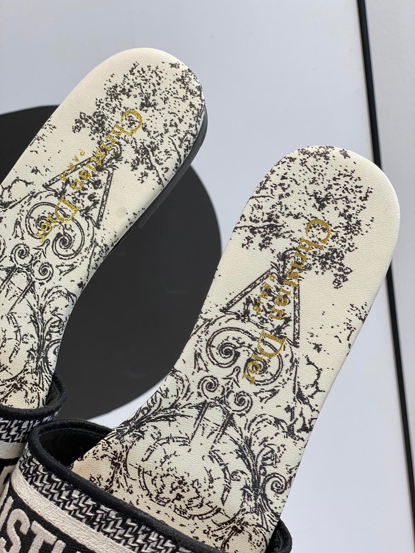 Dior Dway Slides