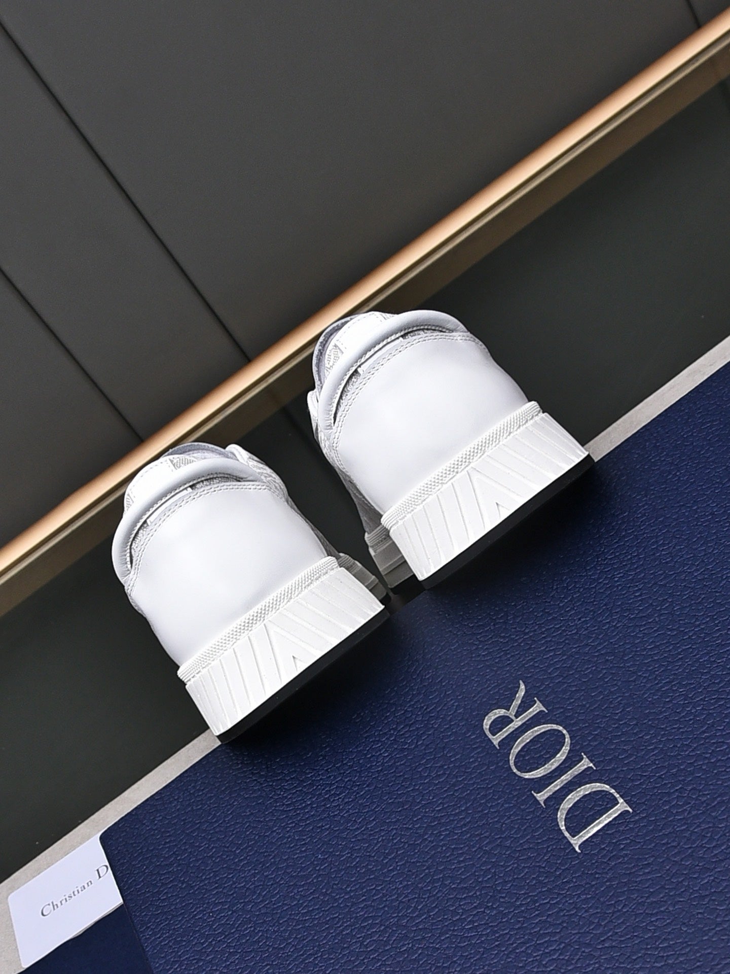 Dior Sneakers