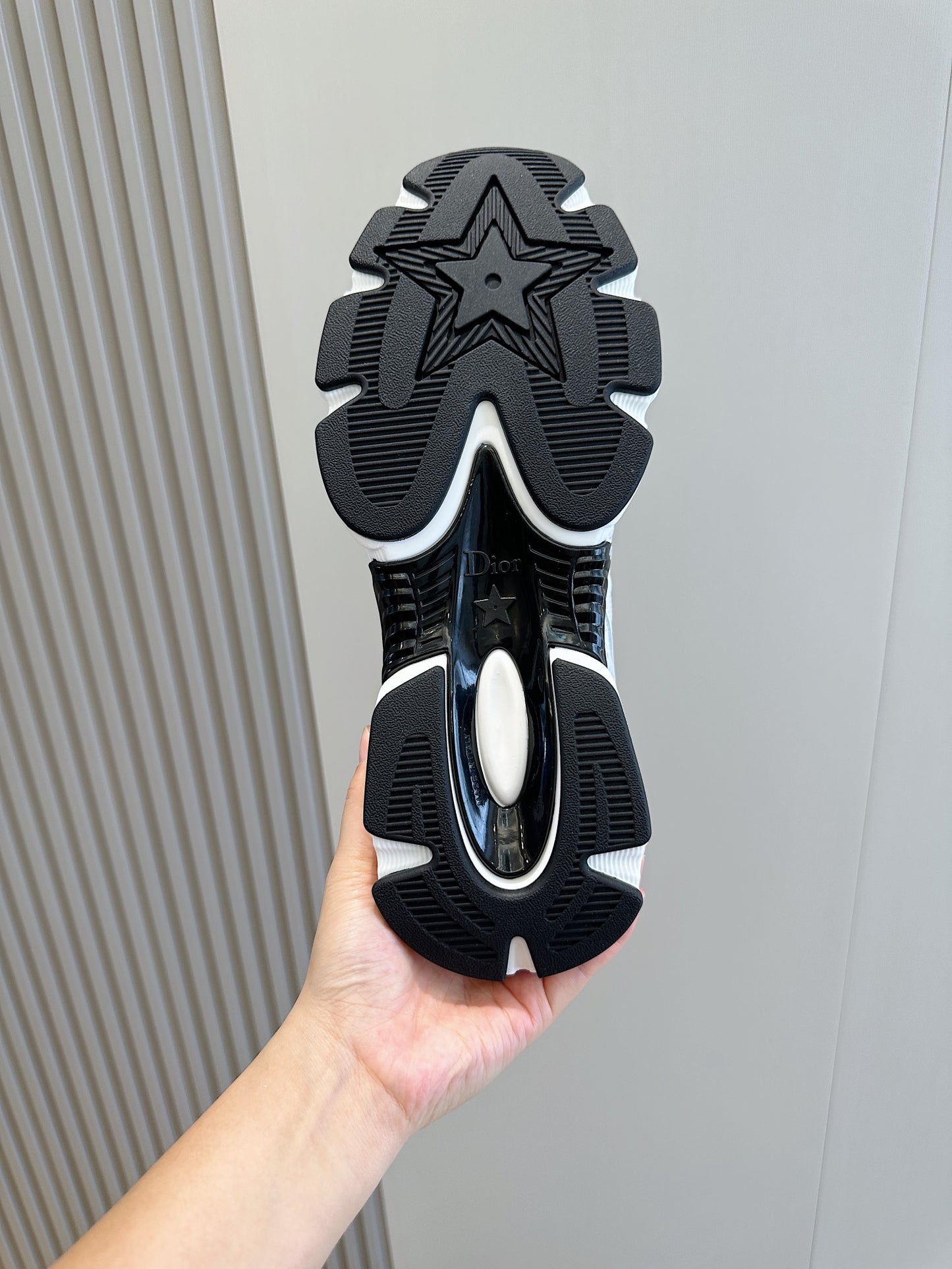 Dior Chrono Sneakers