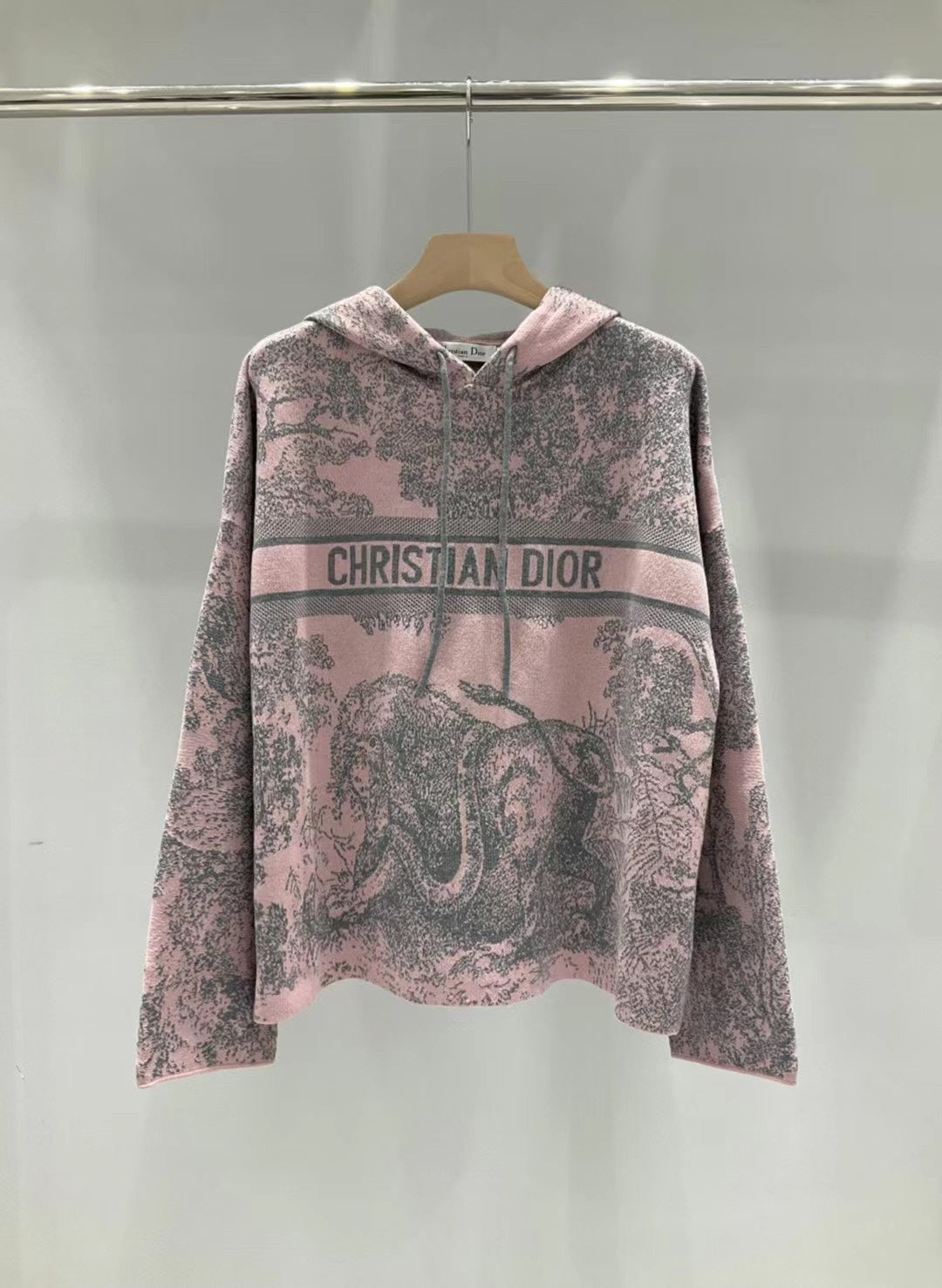 Dior Sweatshirt