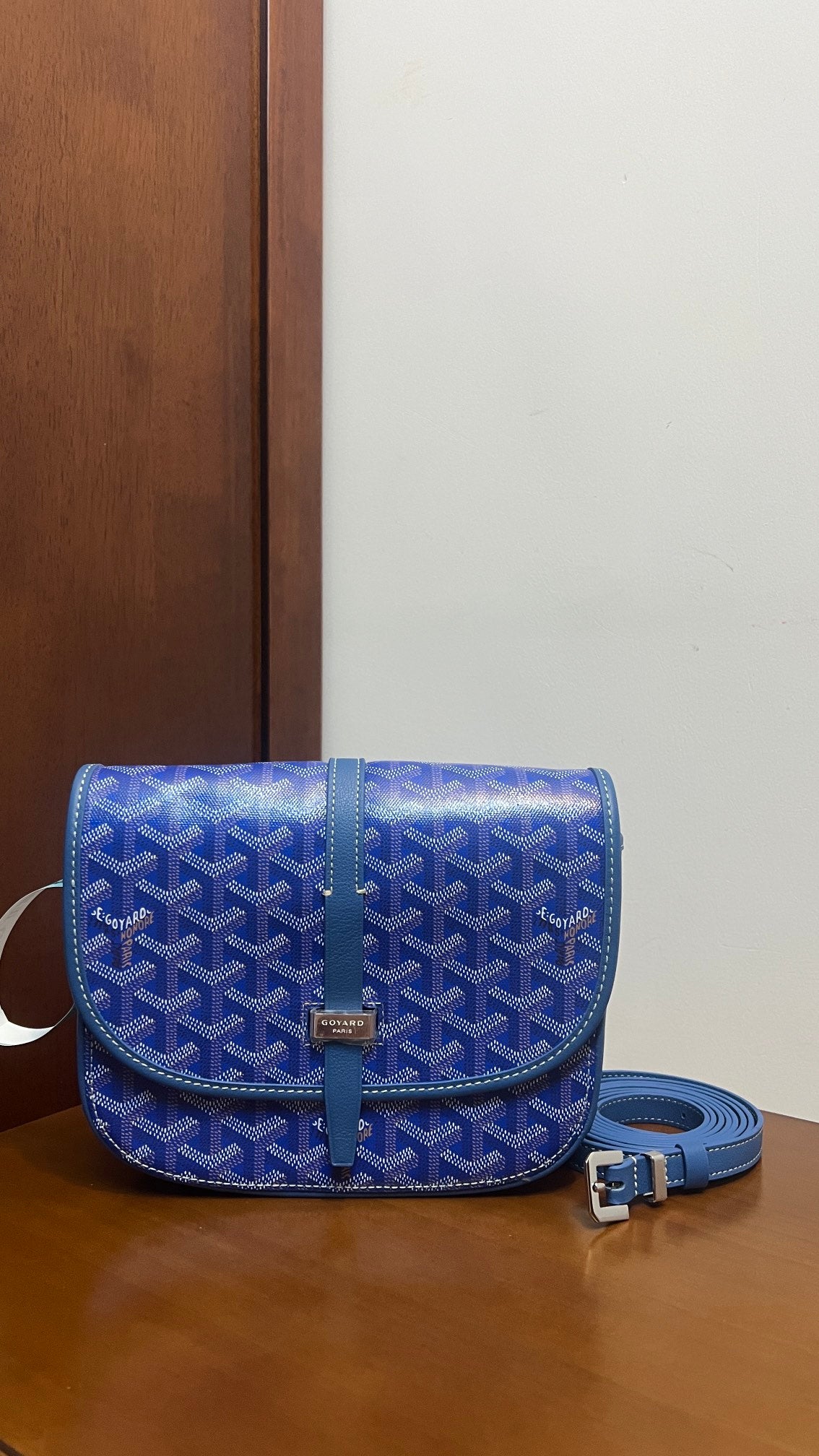 Goyard Handbag