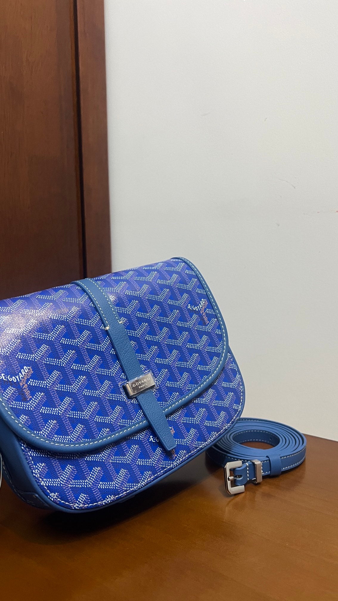 Goyard Handbag