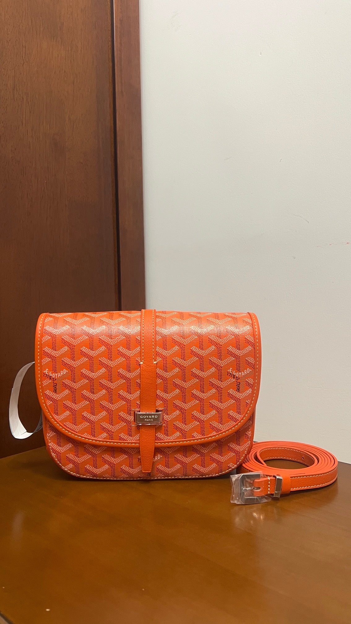 Goyard Handbag