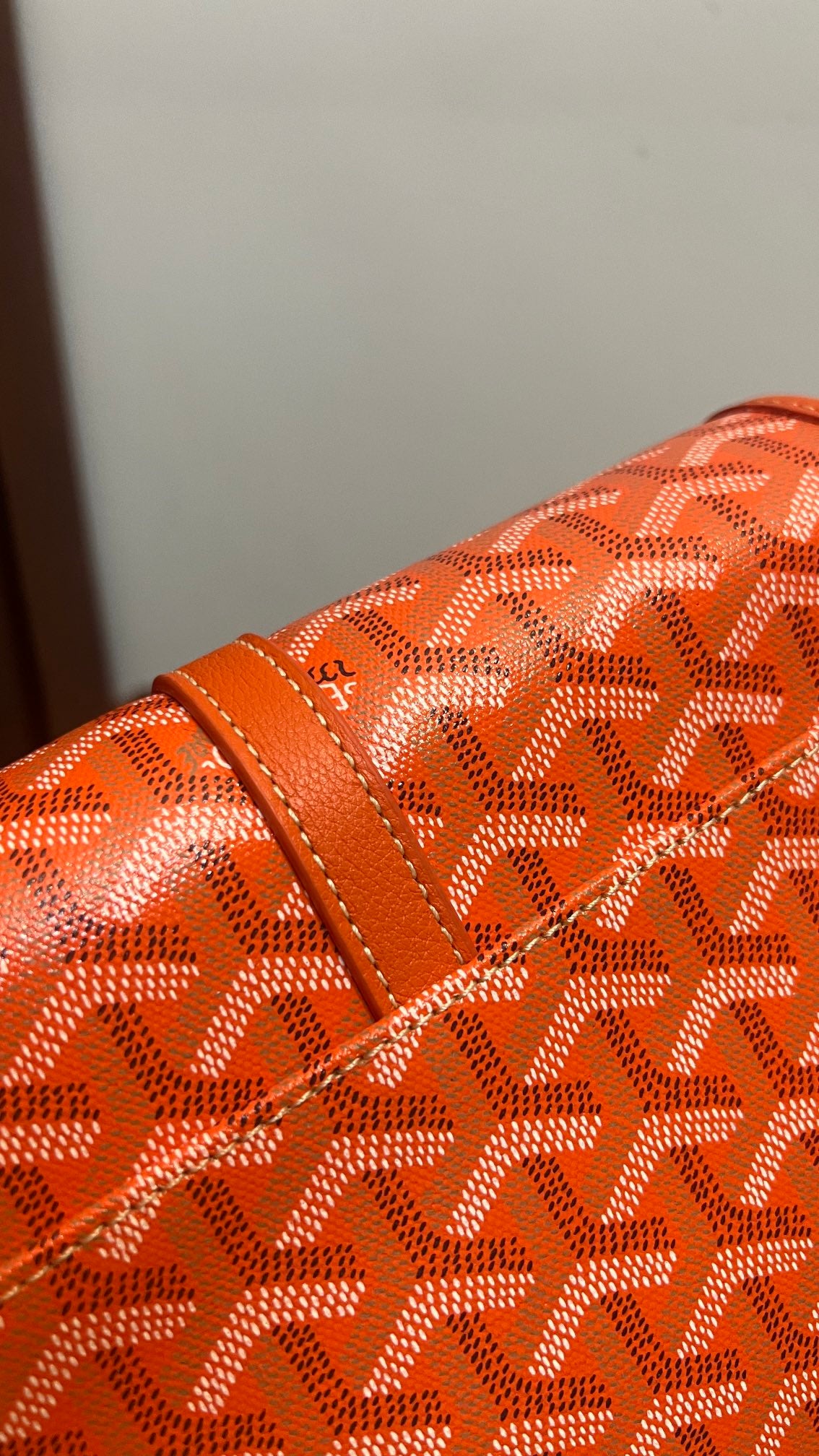 Goyard Handbag