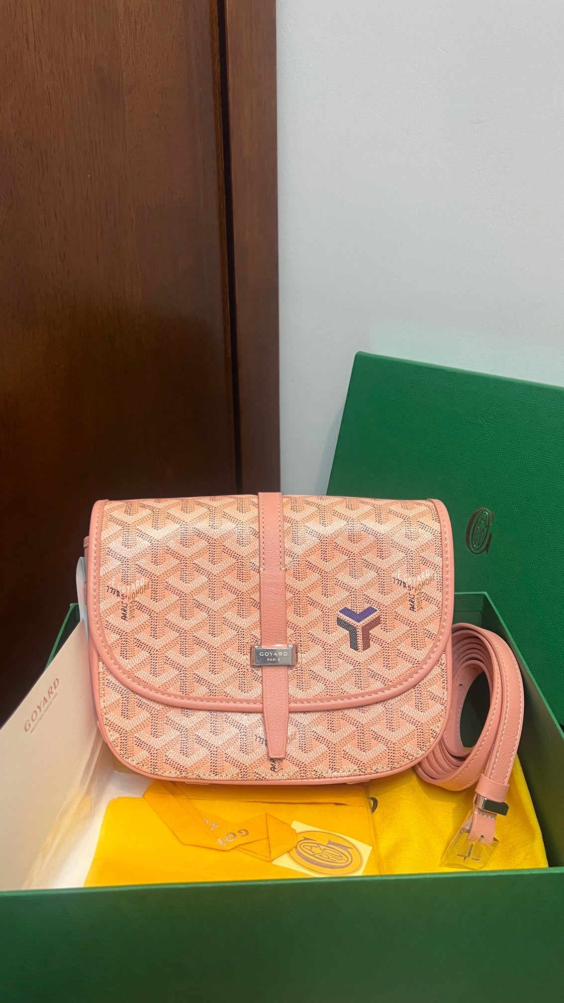 Goyard Handbag