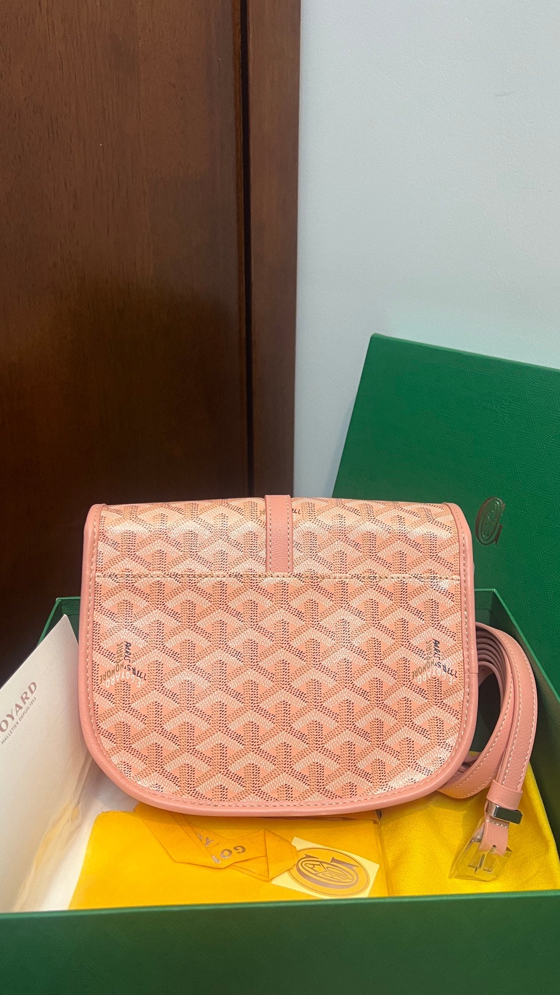 Goyard Handbag