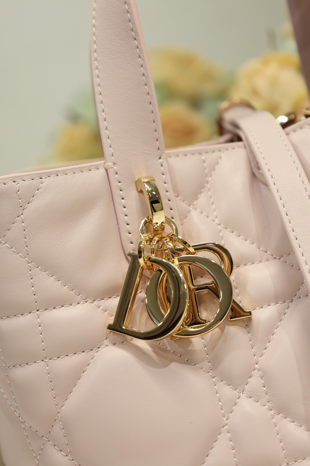 Dior Handbag