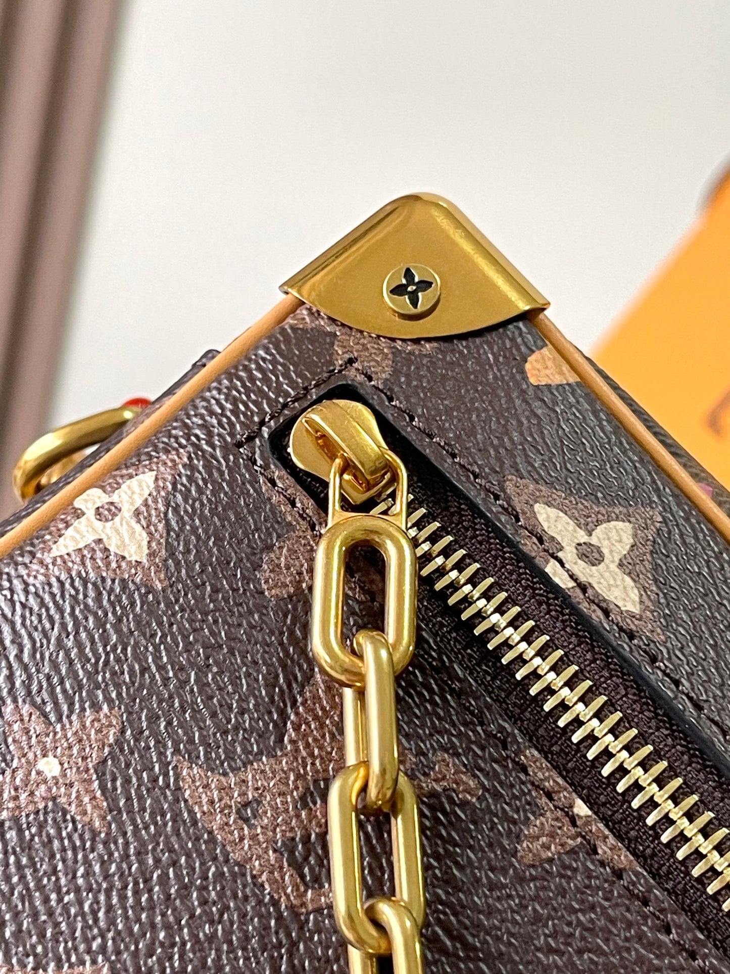 Louis Vuitton Handbag