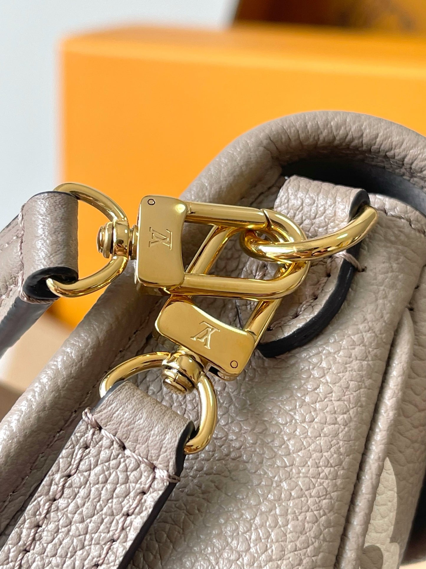 Louis Vuitton Handbag