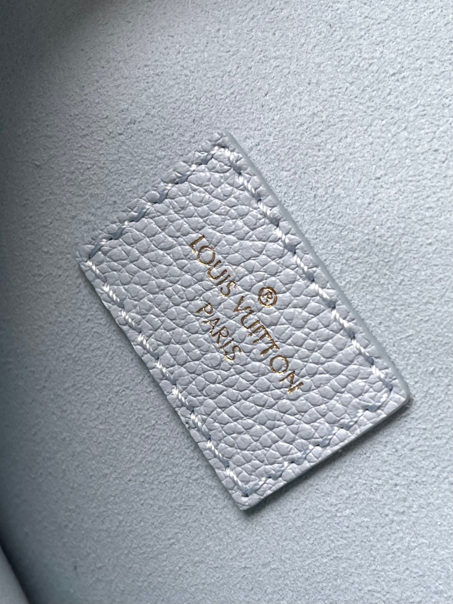 Louis Vuitton Handbag