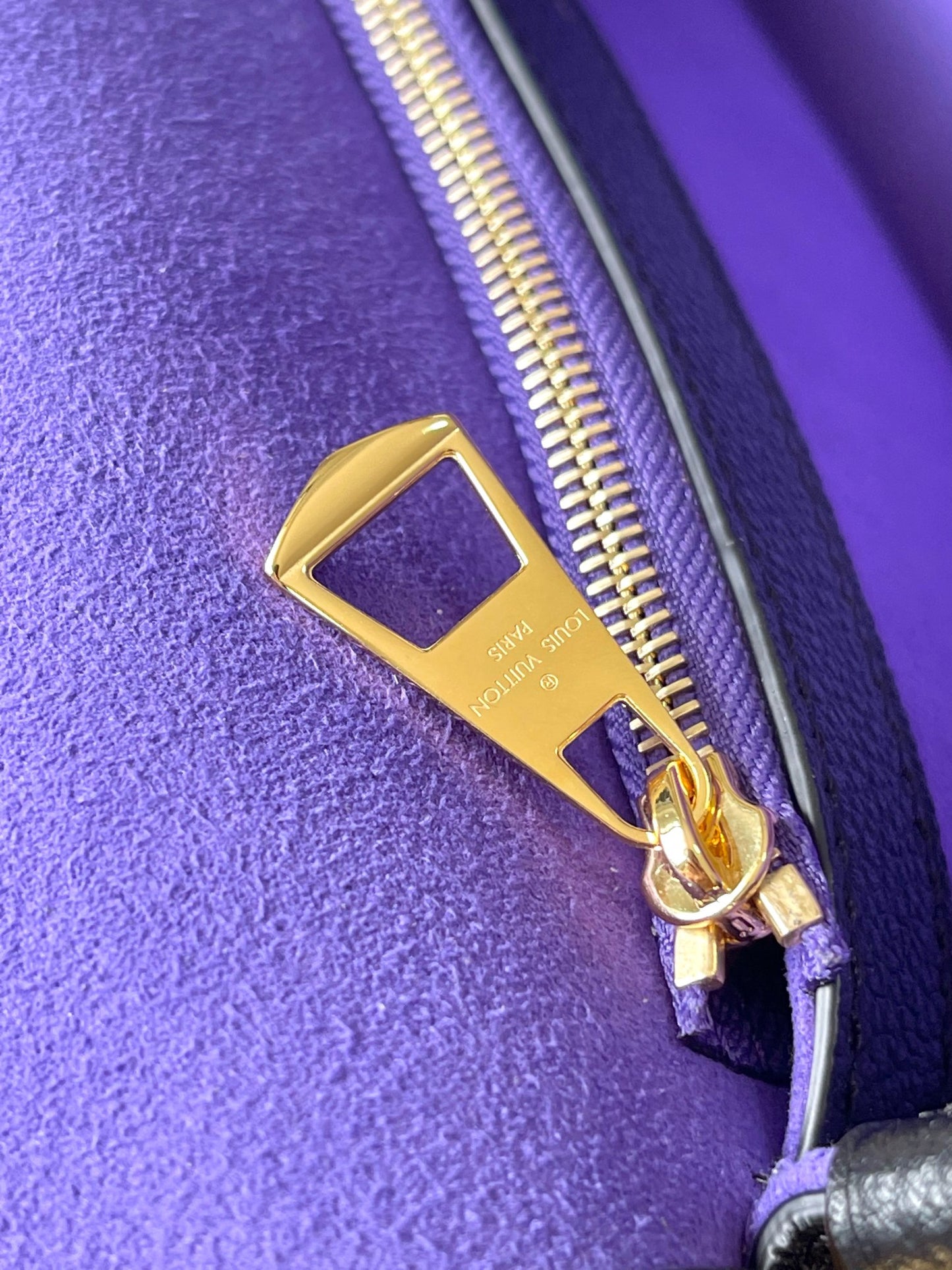 Louis Vuitton Handbag