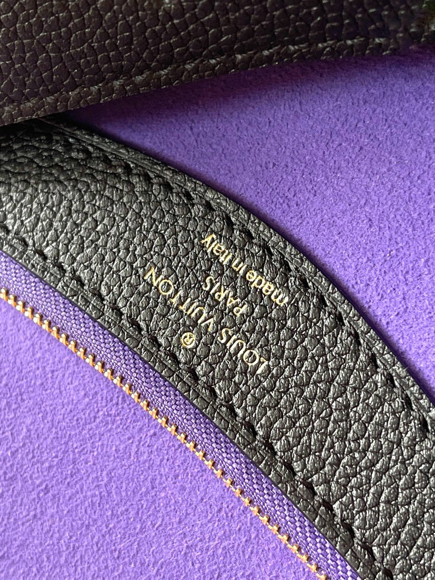 Louis Vuitton Handbag