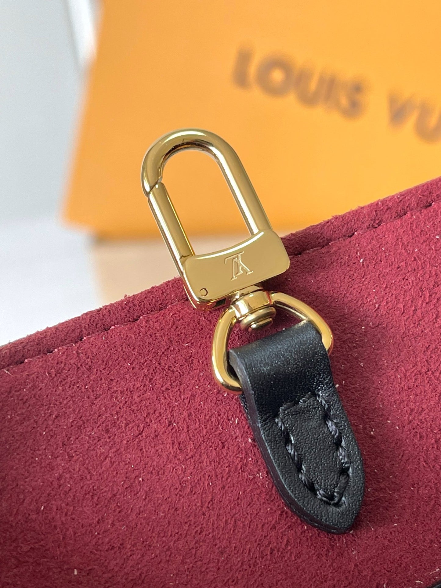 Louis Vuitton Handbag