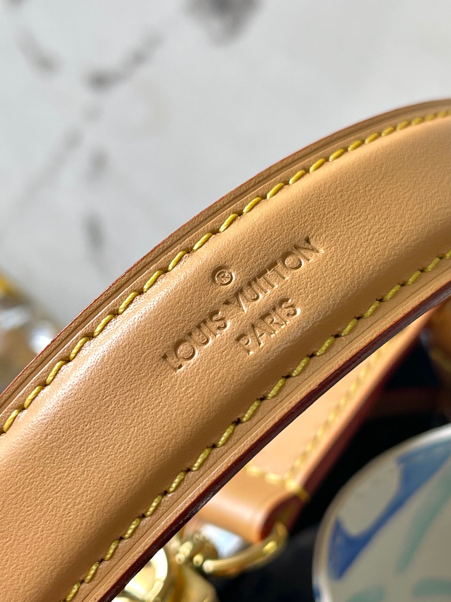 Louis Vuitton Handbag