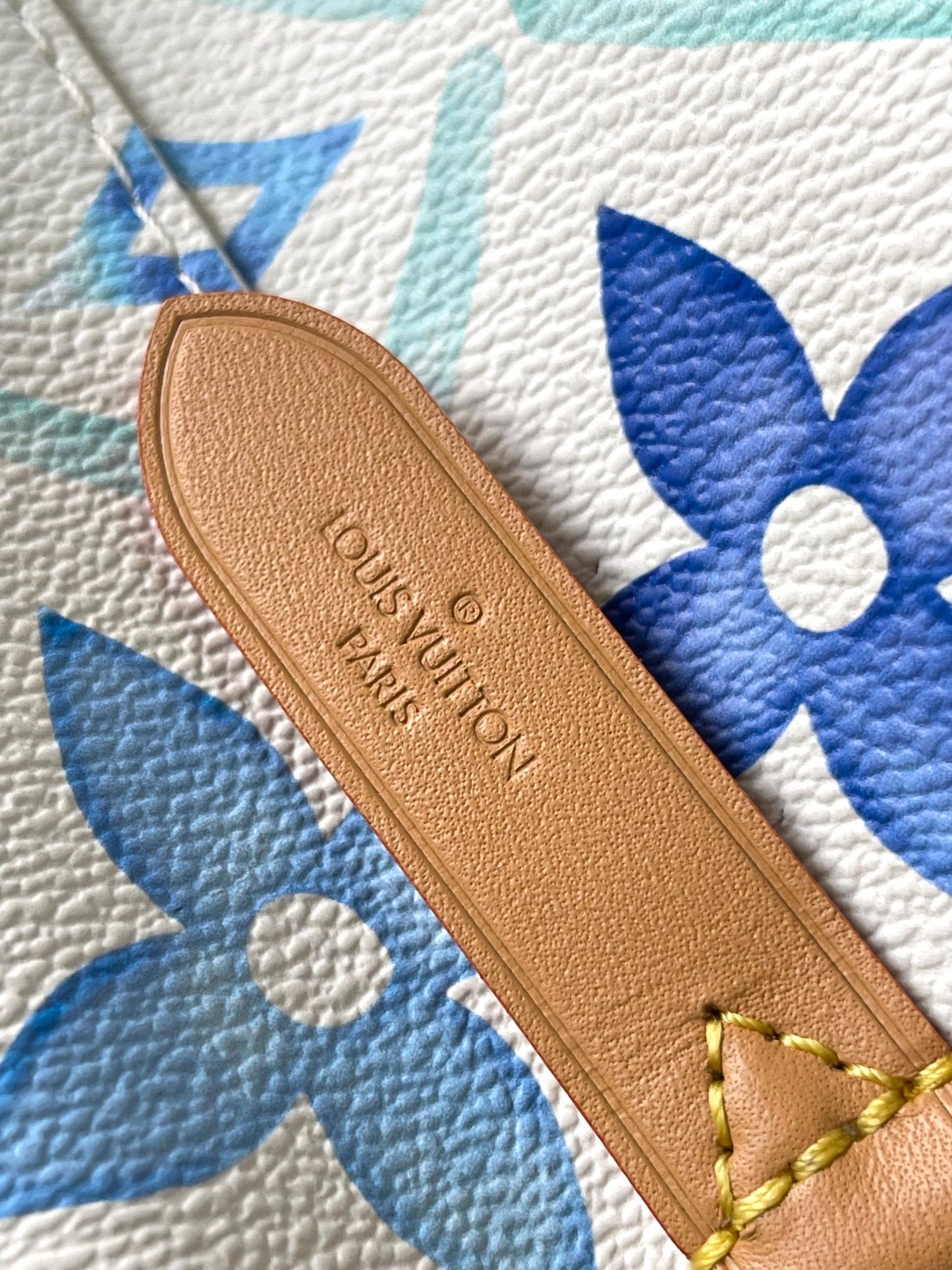 Louis Vuitton Handbag