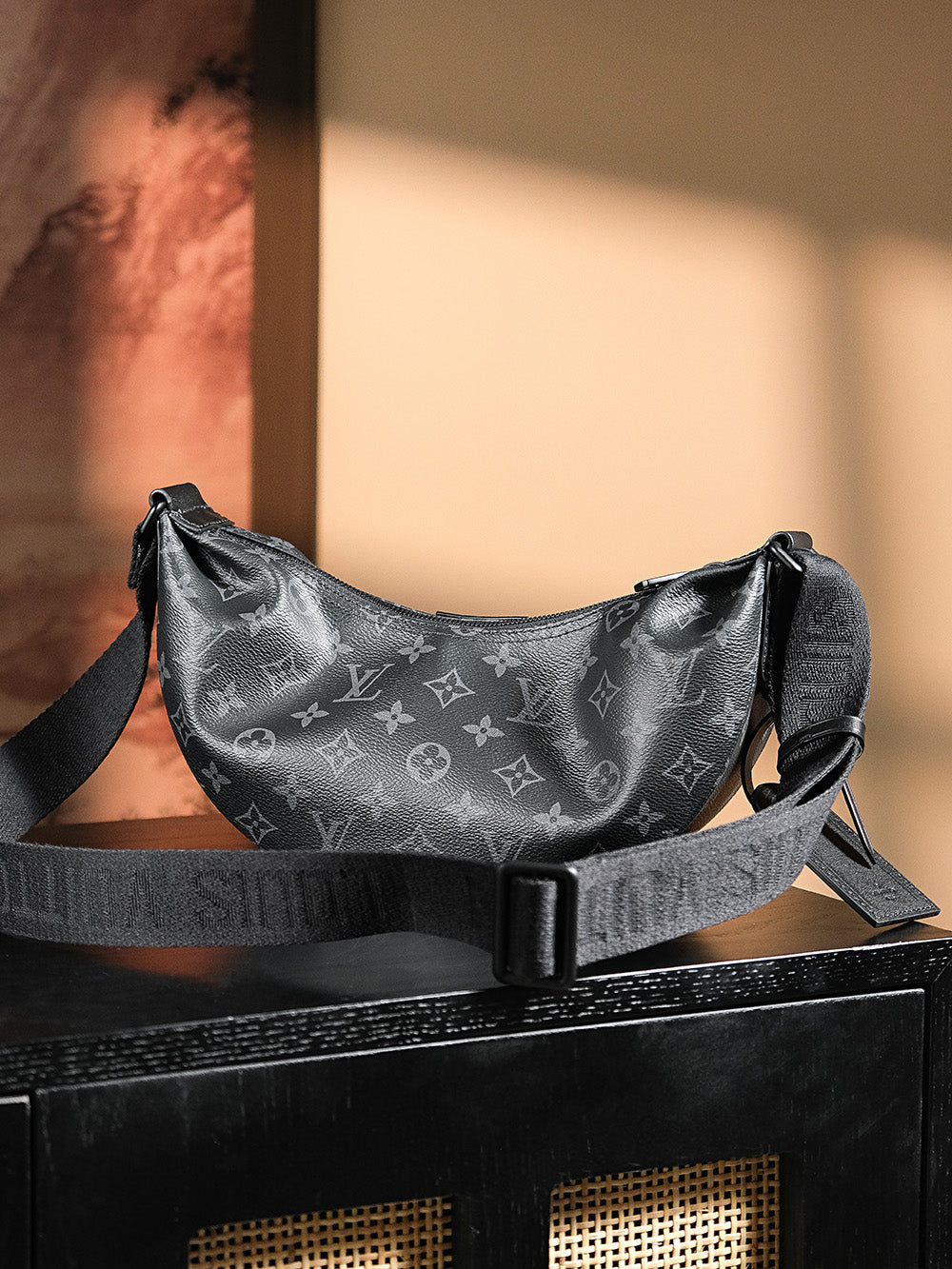 Louis Vuitton Handbag