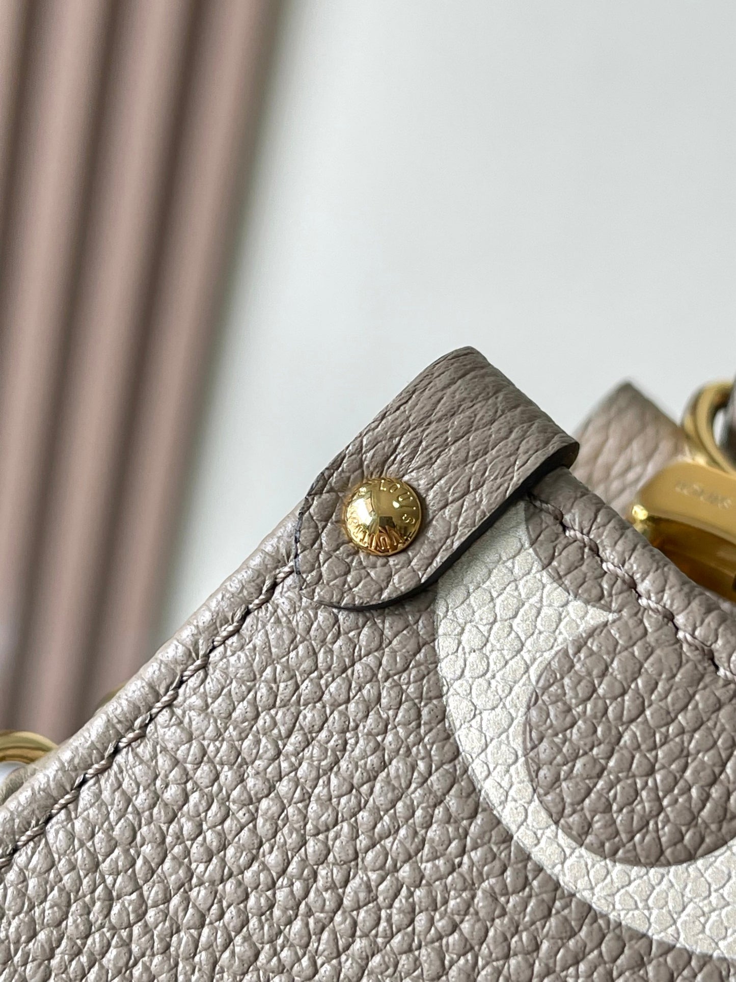 Louis Vuitton Handbag