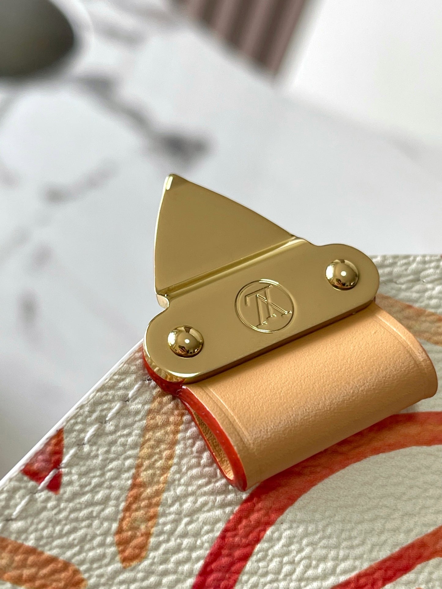 Louis Vuitton Handbag