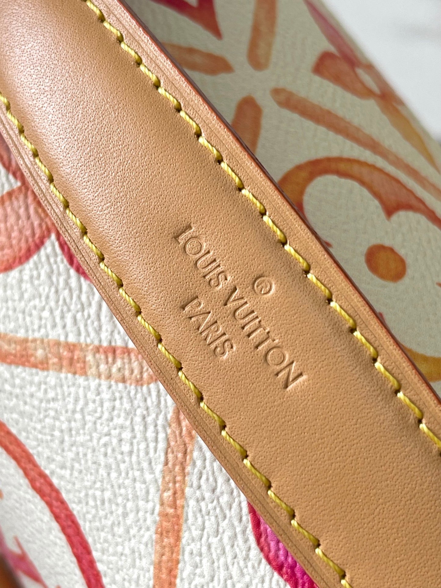 Louis Vuitton Handbag