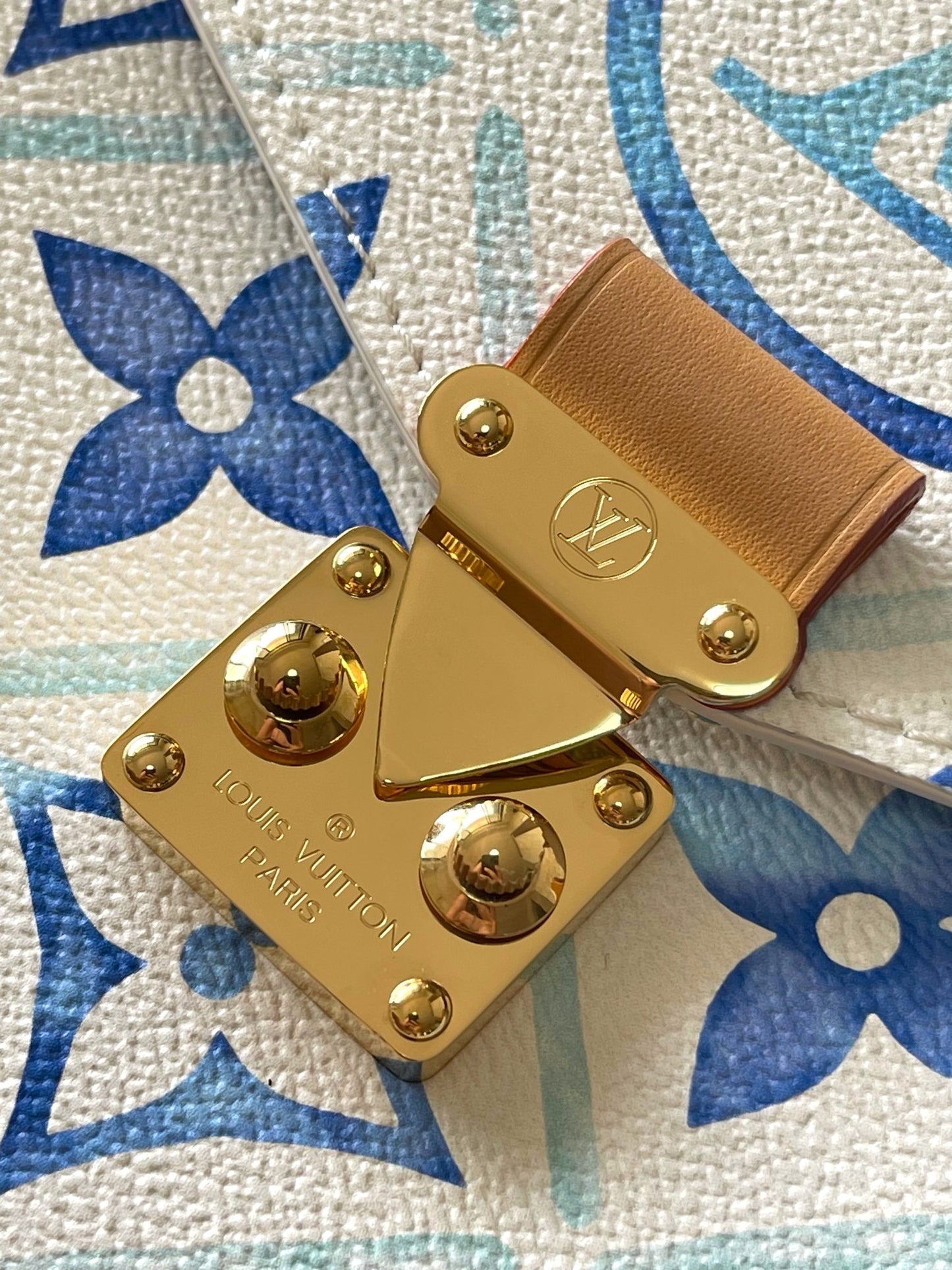 Louis Vuitton Handbag