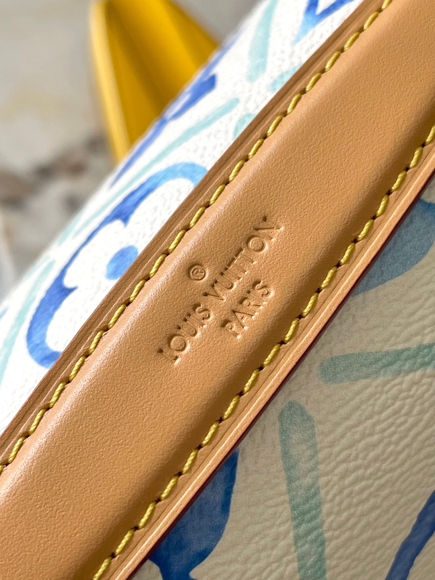 Louis Vuitton Handbag