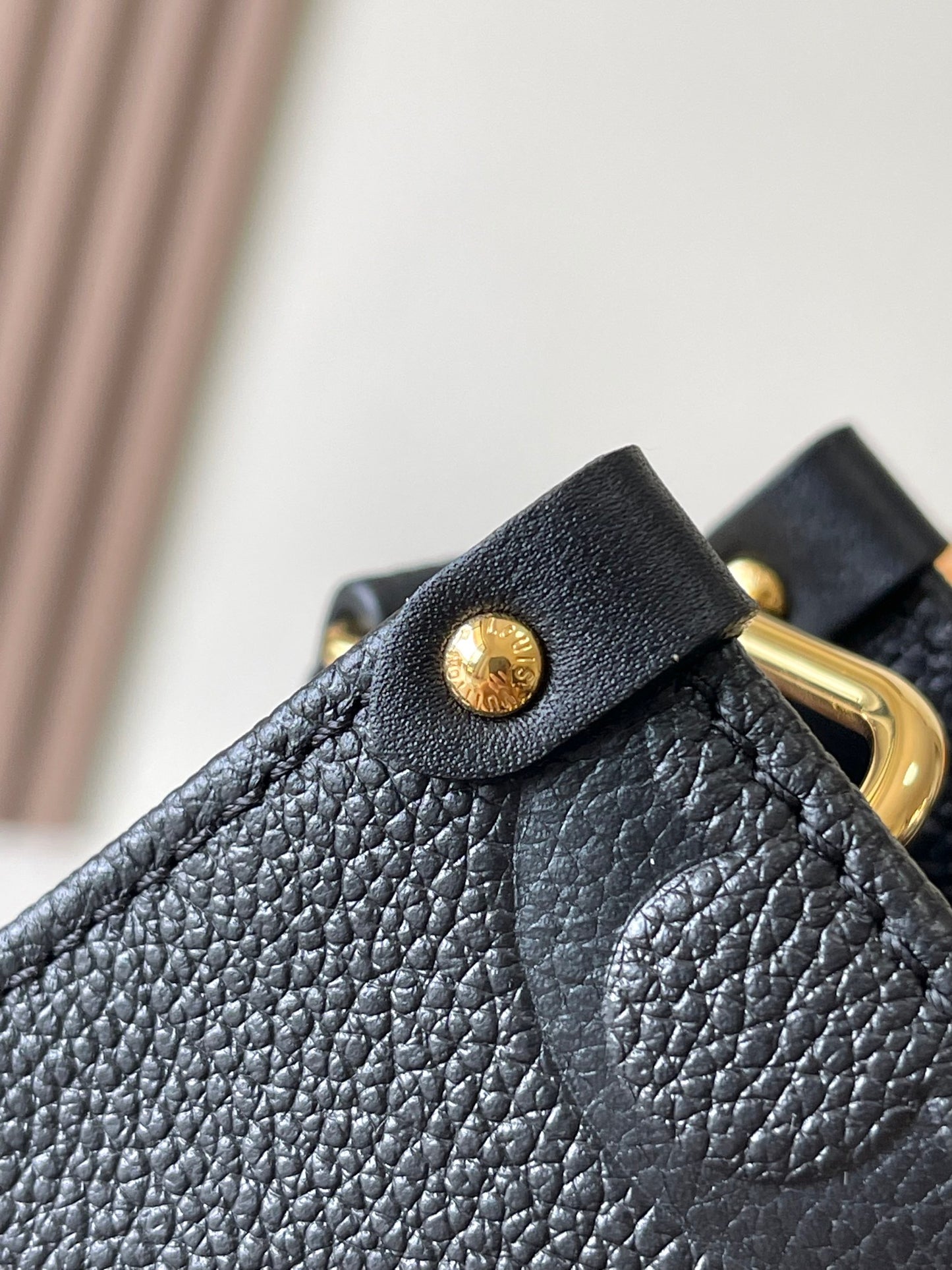 Louis Vuitton Handbag