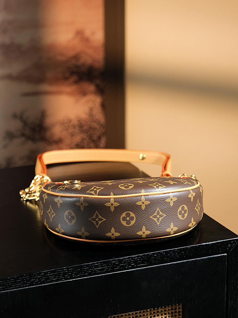 Louis Vuitton Handbag