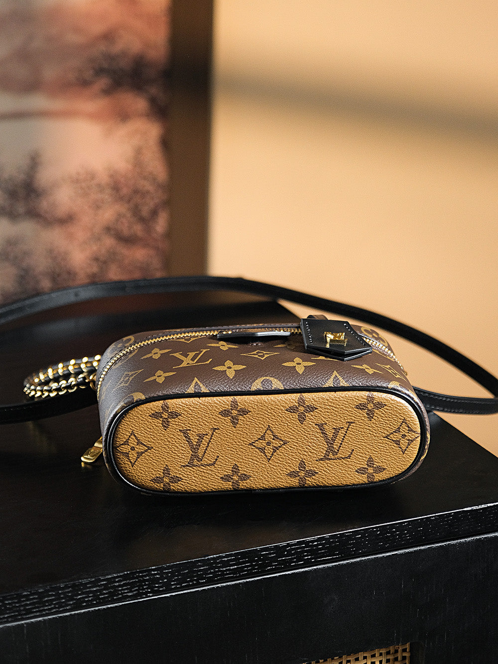 Louis Vuitton Handbag