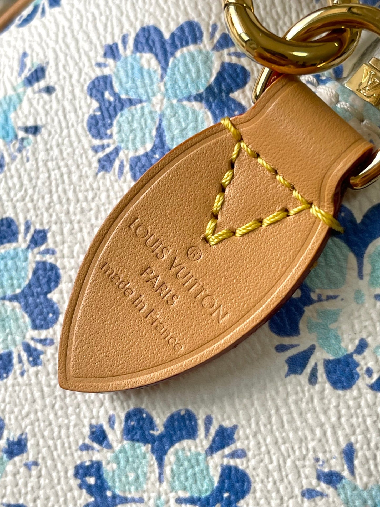 Louis Vuitton Handbag