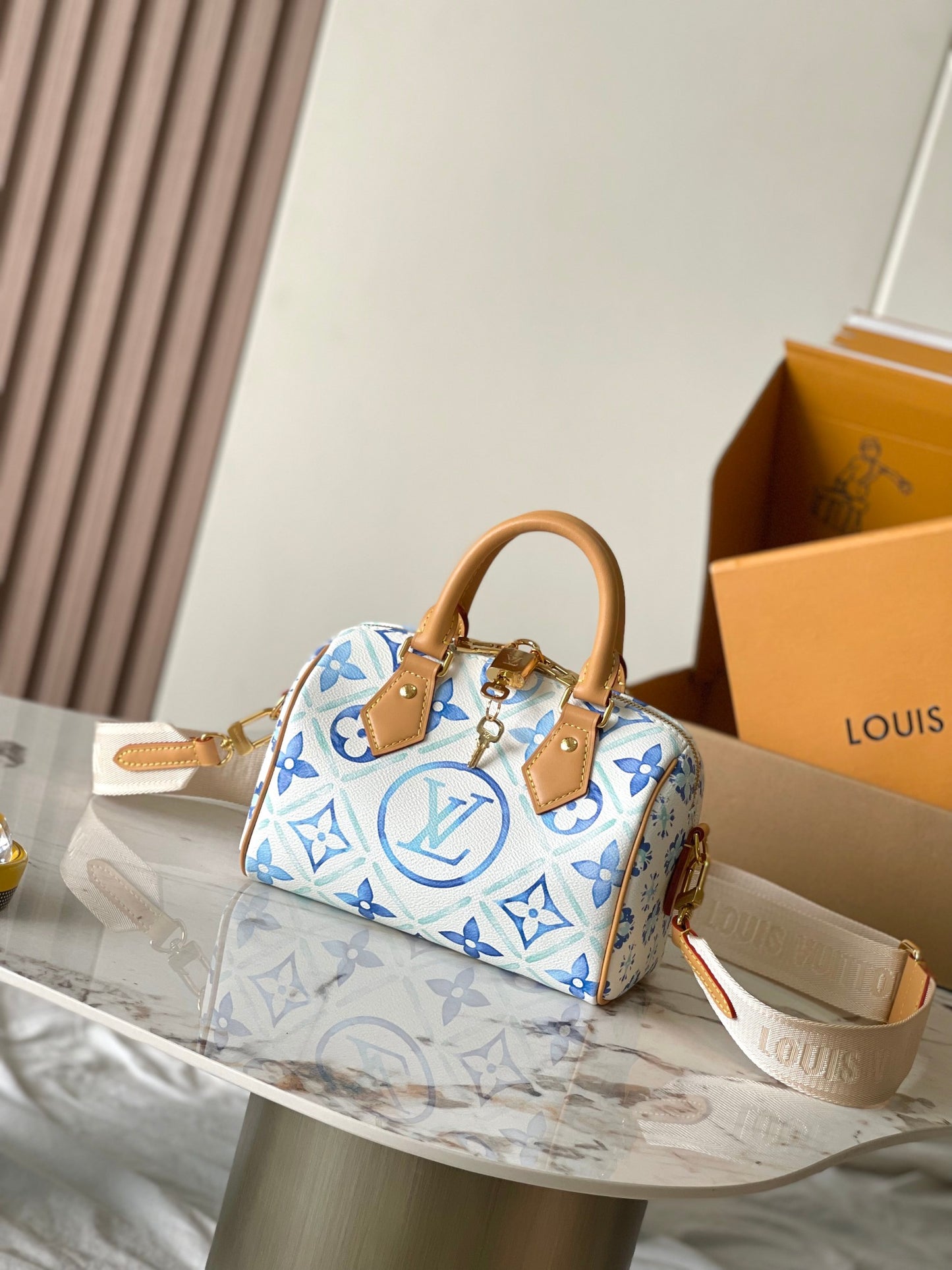 Louis Vuitton Handbag