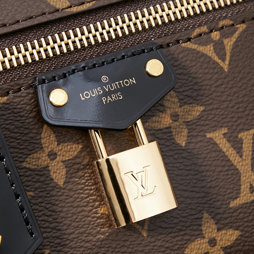 Louis Vuitton Handbag