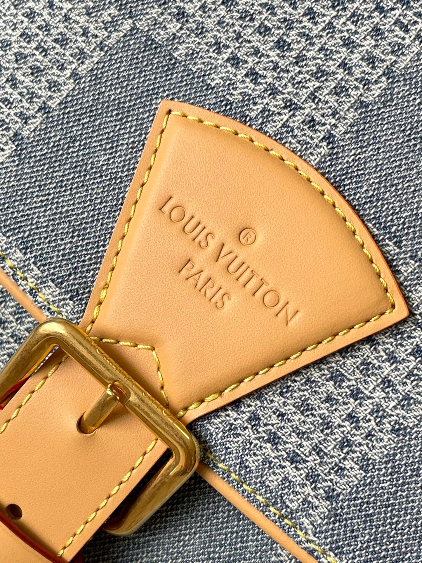 Louis Vuitton Handbag